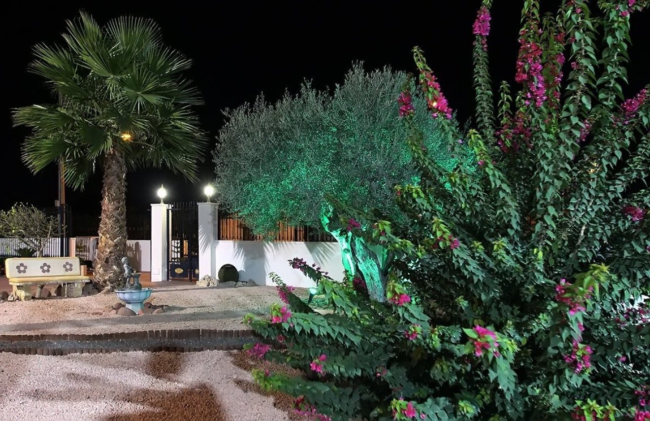 Reventa - Chalet - Orihuela - Orihuela Ciudad