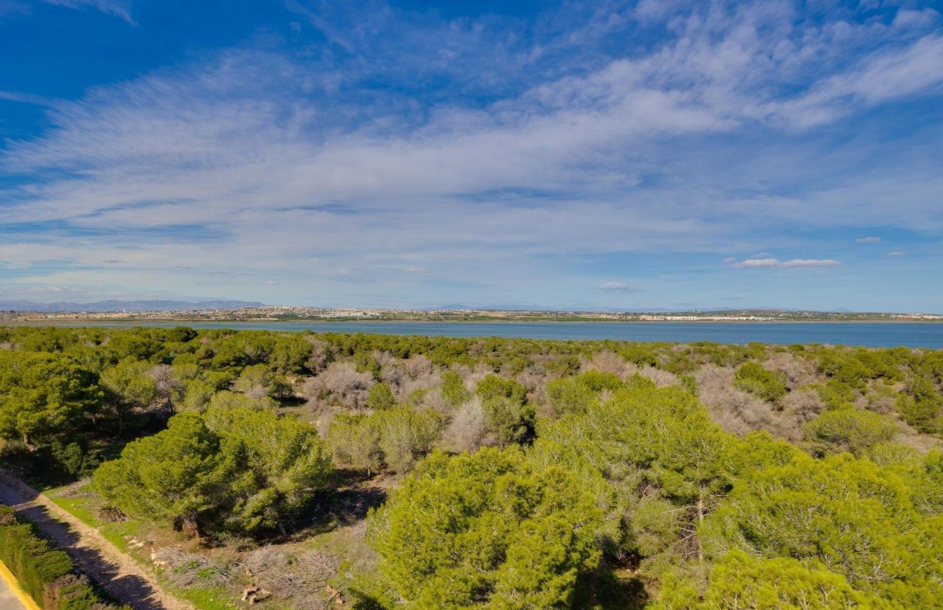 Resale - Apartamento - Torrevieja - La Siesta - El Salado - Torreta