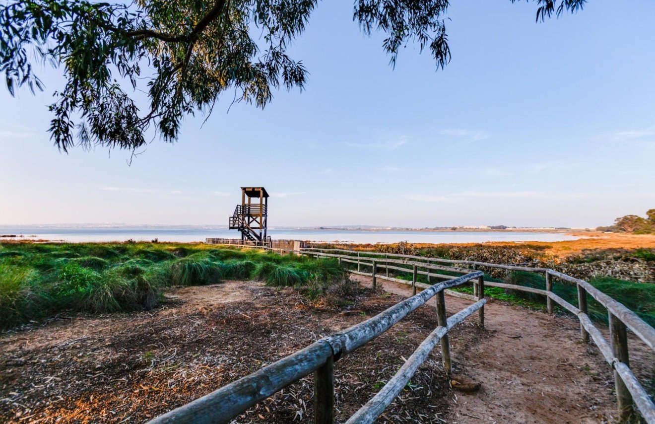 Resale - Apartamento - Torrevieja - La Siesta - El Salado - Torreta