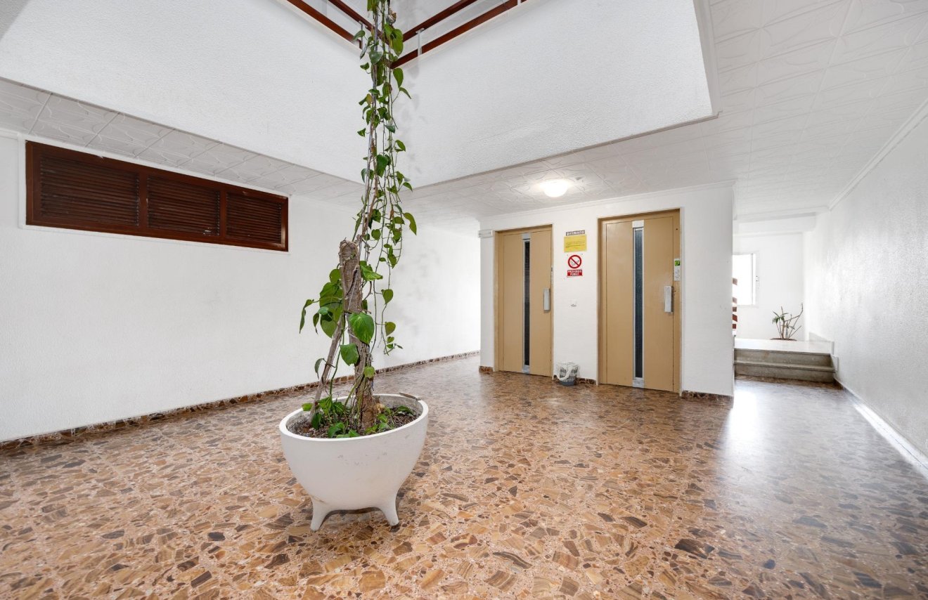 Resale - Apartamento - Torrevieja - Punta prima