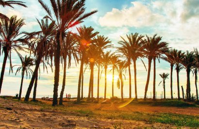 Resale - Apartamento - Torrevieja - Punta prima