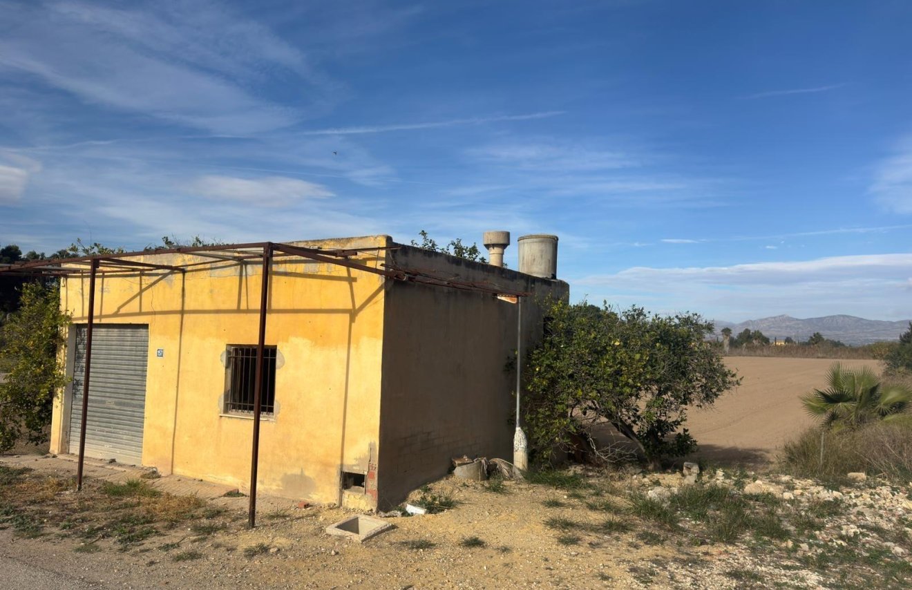 Revente - Terreno rural - Catral - Arroba La Madriguera