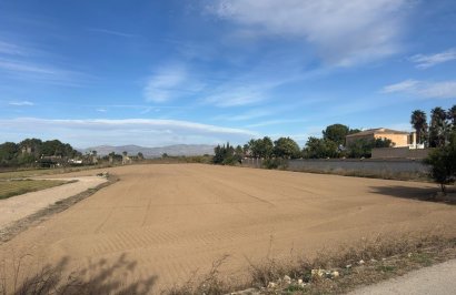 Revente - Terreno rural - Catral - Arroba La Madriguera