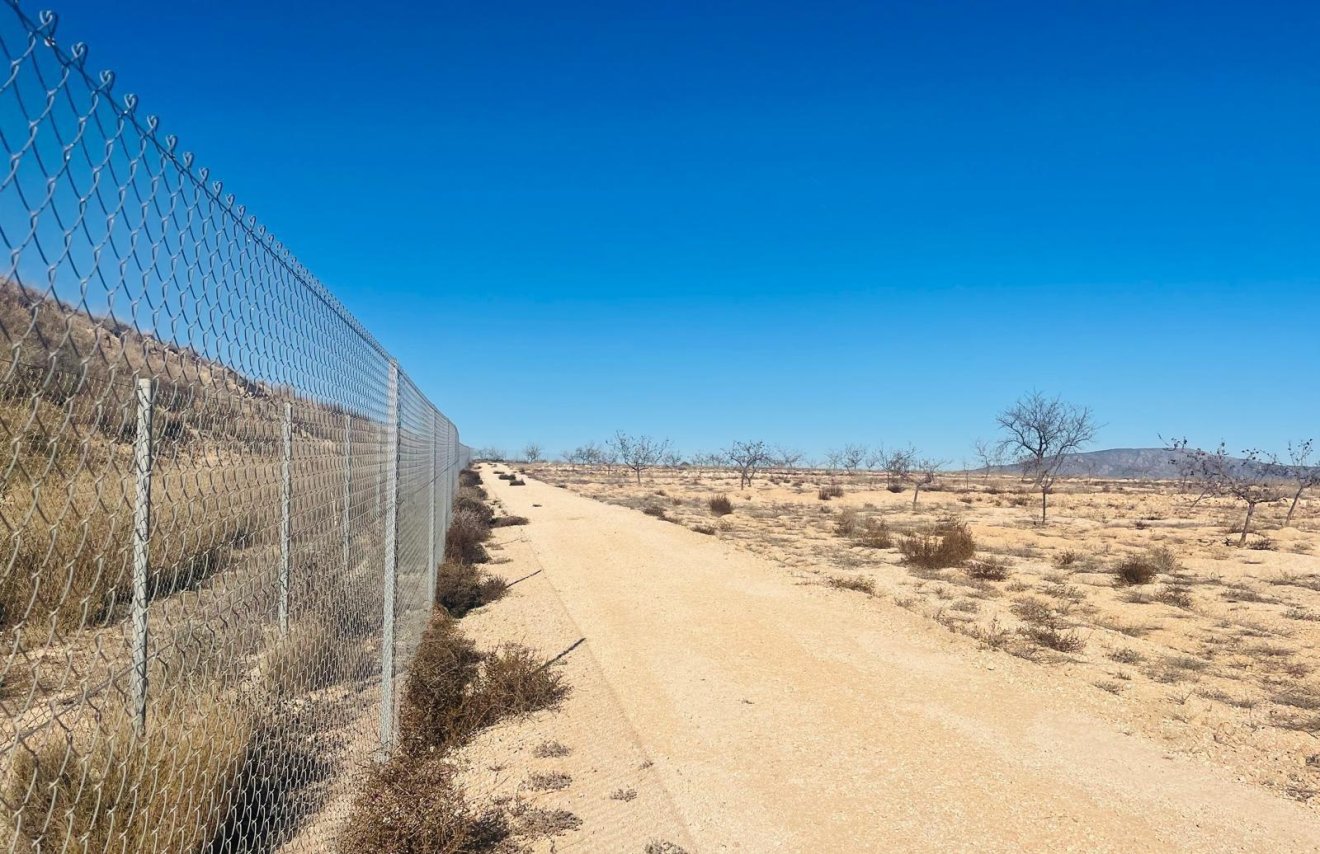 Resale - Terreno urbanizable - Pinoso - A 2 km de la ciudad