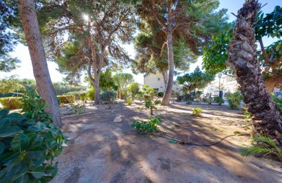 Reventa - Casa Tipo Dúplex - Torrevieja - El limonar