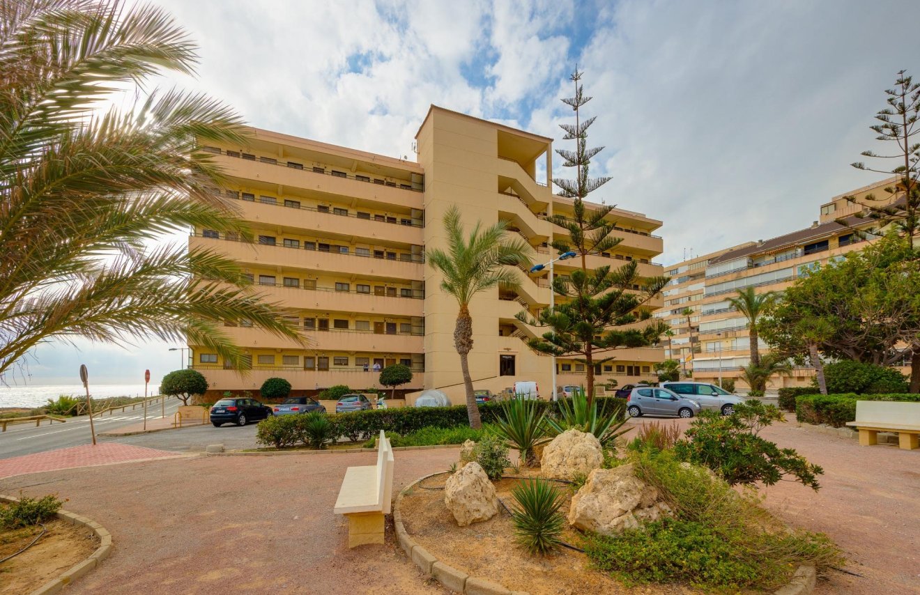 Reventa - Apartamento - Torrevieja - Cabo cervera