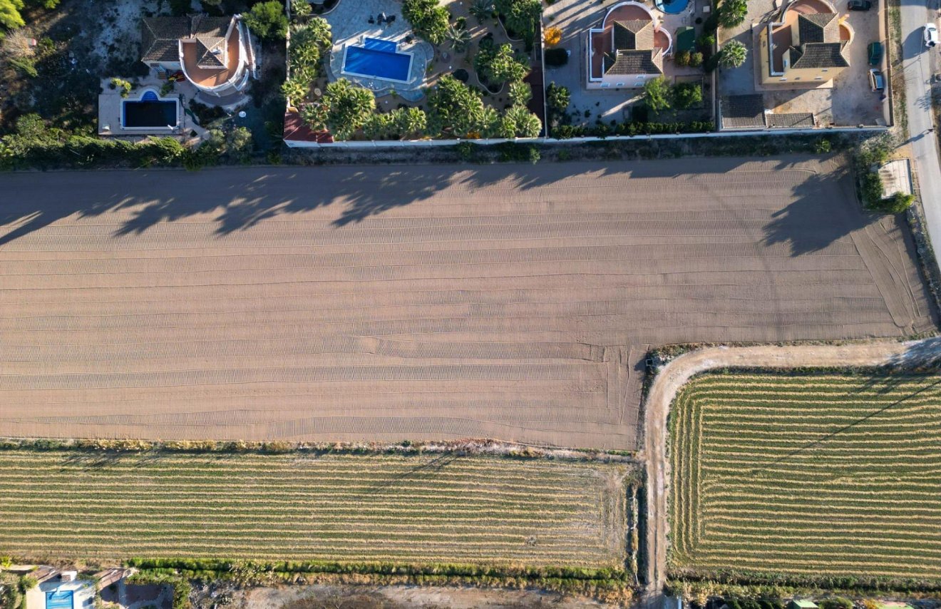 Revente - Terreno rural - Catral - Arroba La Madriguera