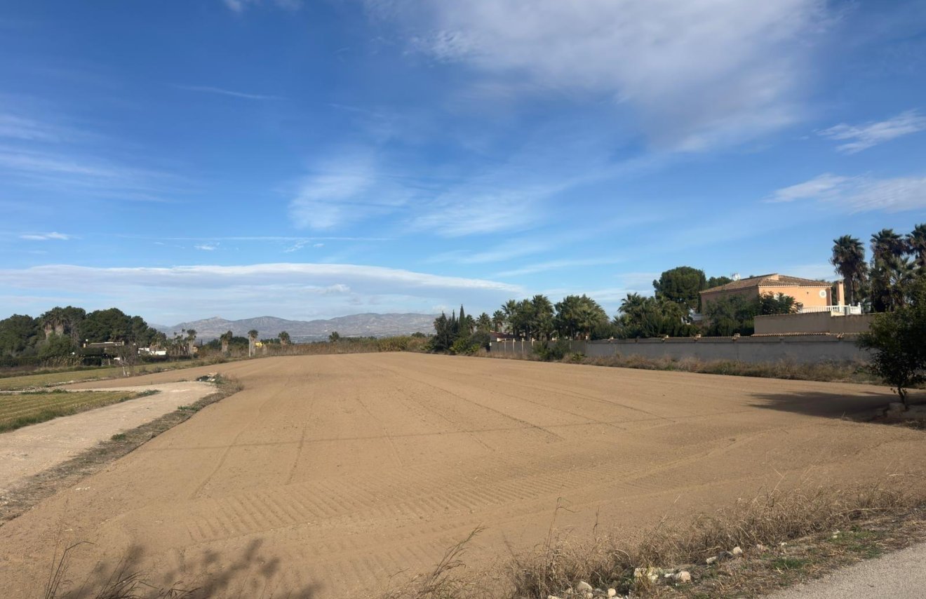 Revente - Terreno rural - Catral - Arroba La Madriguera