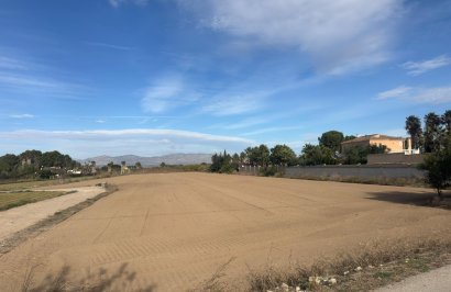 Revente - Terreno rural - Catral - Arroba La Madriguera