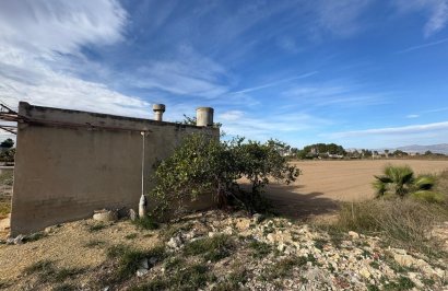 Revente - Terreno rural - Catral - Arroba La Madriguera