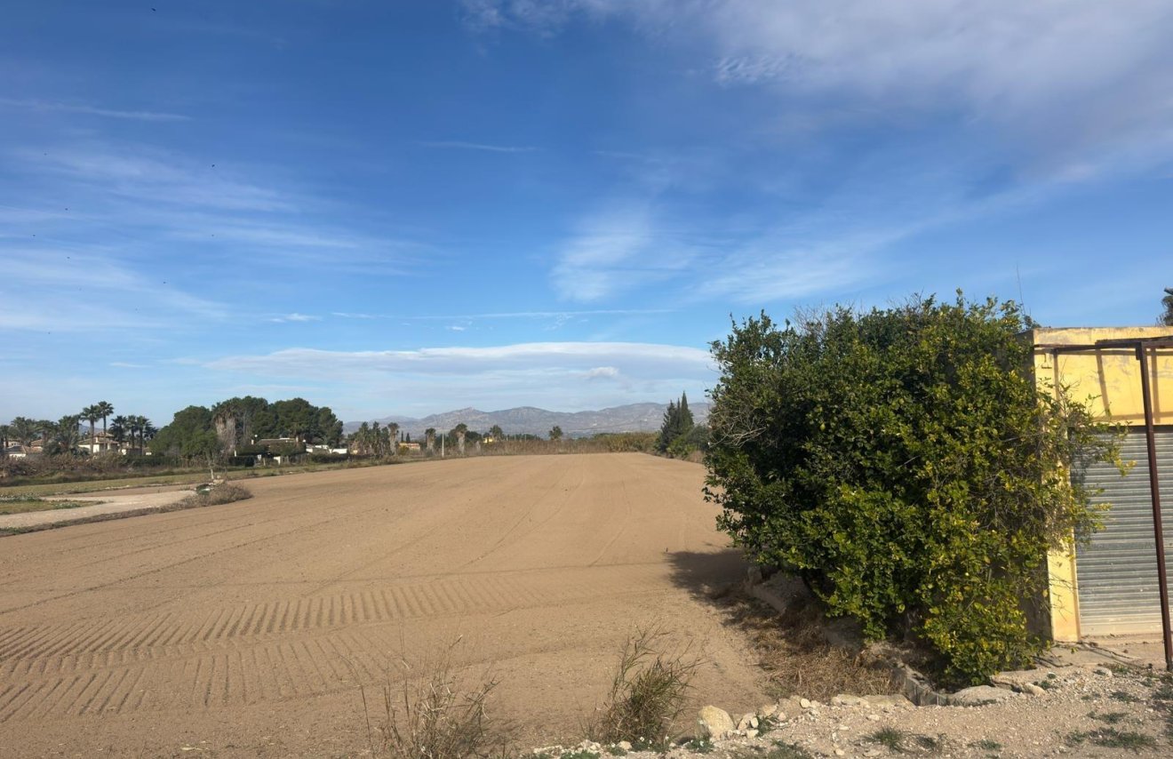 Revente - Terreno rural - Catral - Arroba La Madriguera