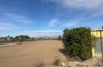 Revente - Terreno rural - Catral - Arroba La Madriguera