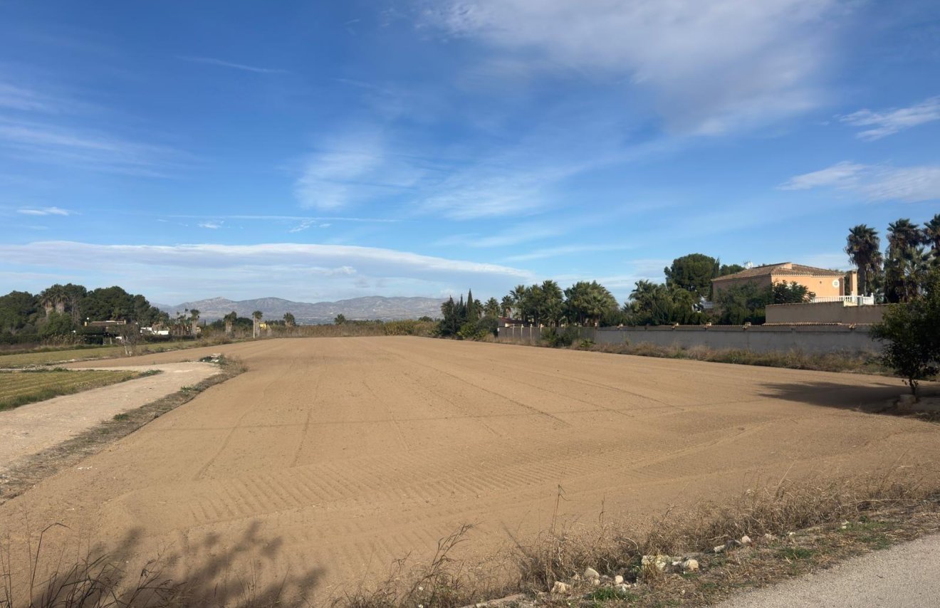 Revente - Terreno rural - Catral - Arroba La Madriguera