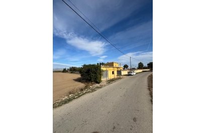 Revente - Terreno rural - Catral - Arroba La Madriguera