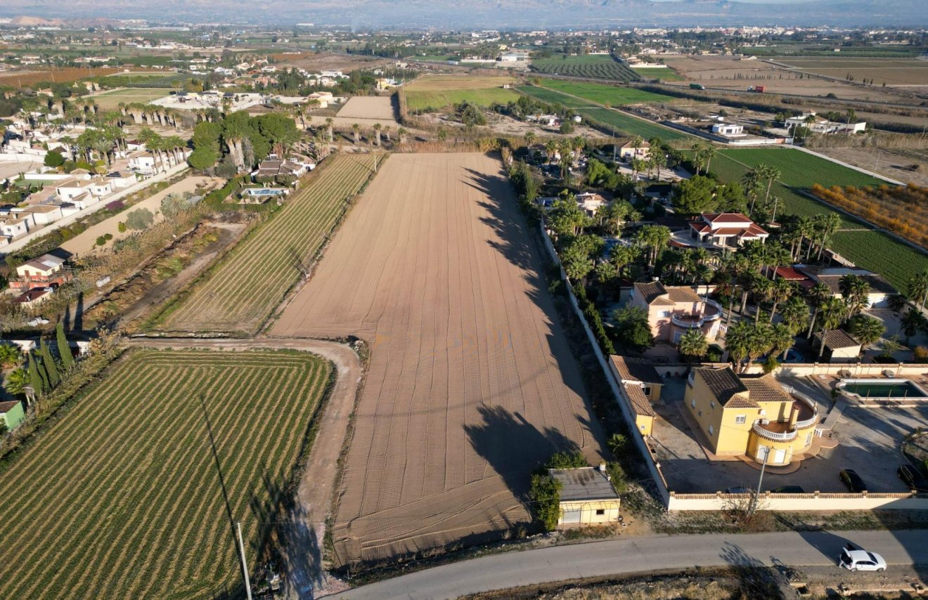 Revente - Terreno rural - Catral - Arroba La Madriguera