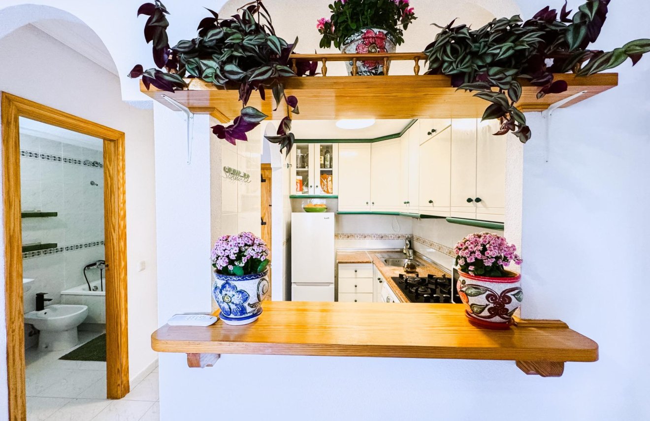 Reventa - Estudio - Torrevieja - La Mata