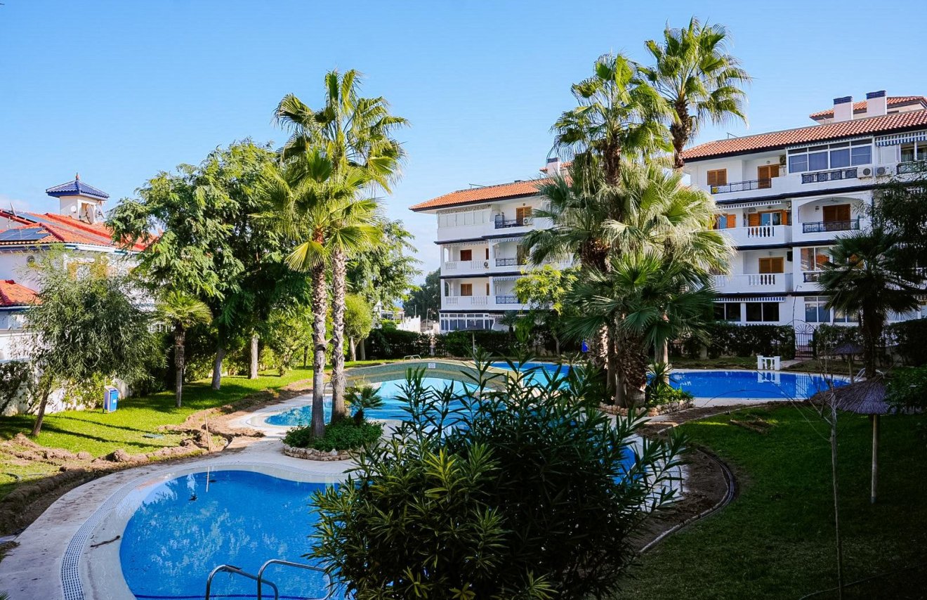 Reventa - Estudio - Torrevieja - La Mata