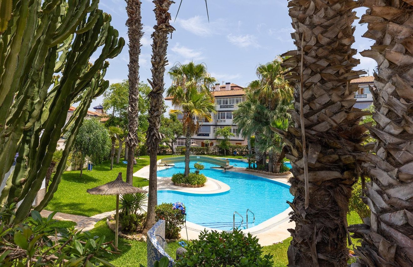 Reventa - Apartamento - Torrevieja - Estacion de autobuses