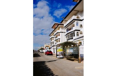 Resale - Study - Torrevieja - La Mata