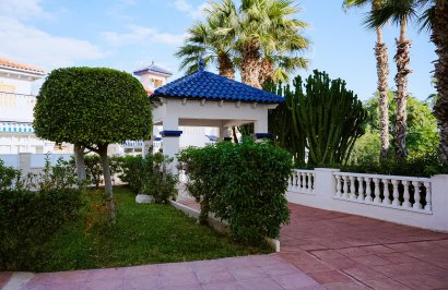 Resale - Study - Torrevieja - La Mata