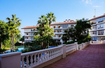 Resale - Study - Torrevieja - La Mata