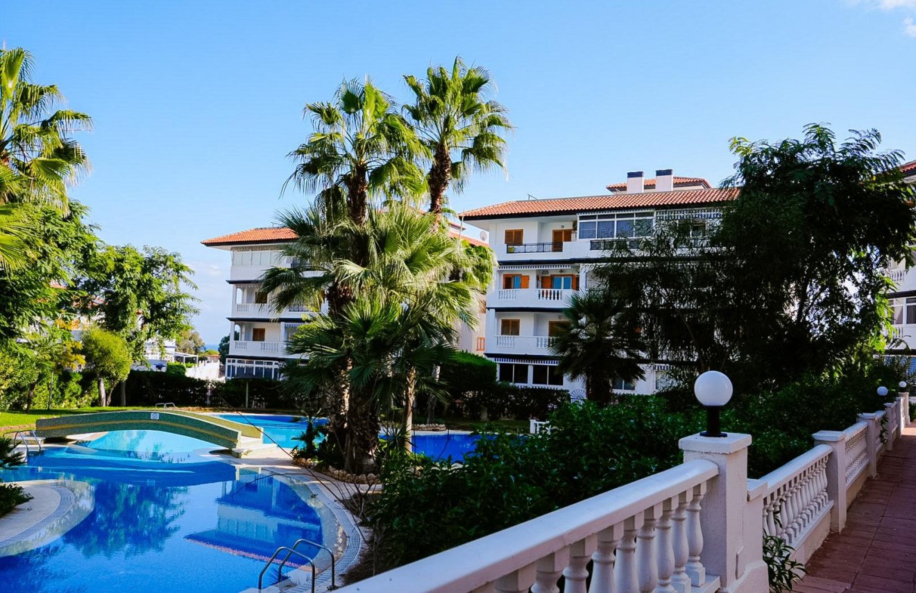 Resale - Study - Torrevieja - La Mata