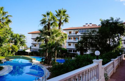 Resale - Study - Torrevieja - La Mata