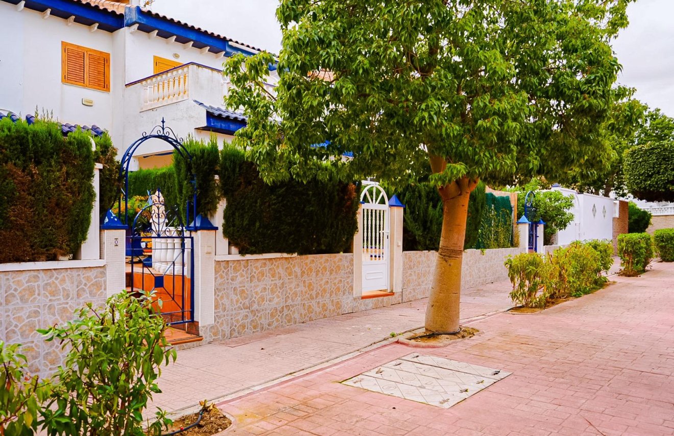 Resale - Study - Torrevieja - La Mata