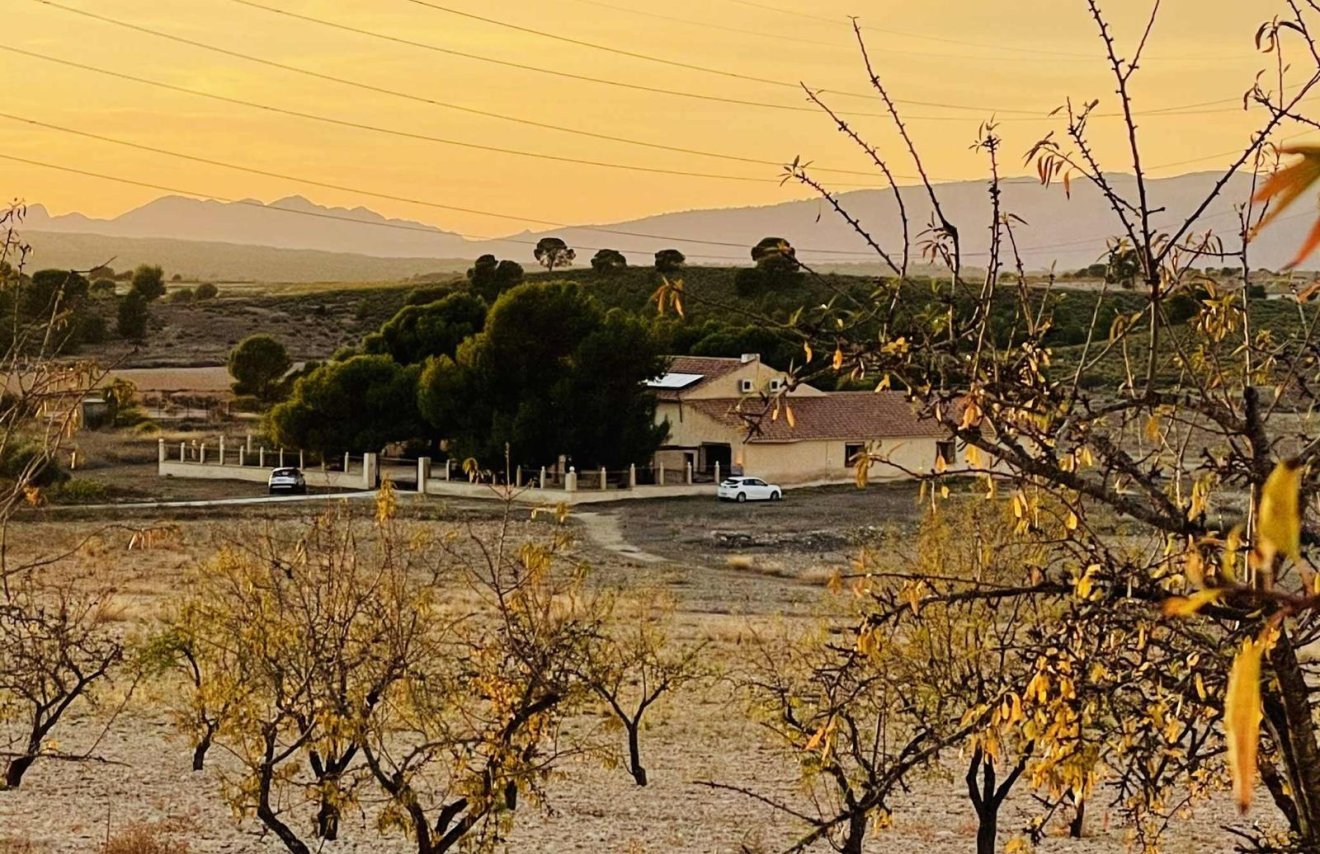 Resale - Terreno urbanizable - Pinoso - A 2 km de la ciudad