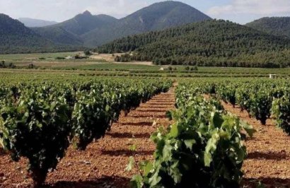 Resale - Terreno urbanizable - Pinoso - A 2 km de la ciudad