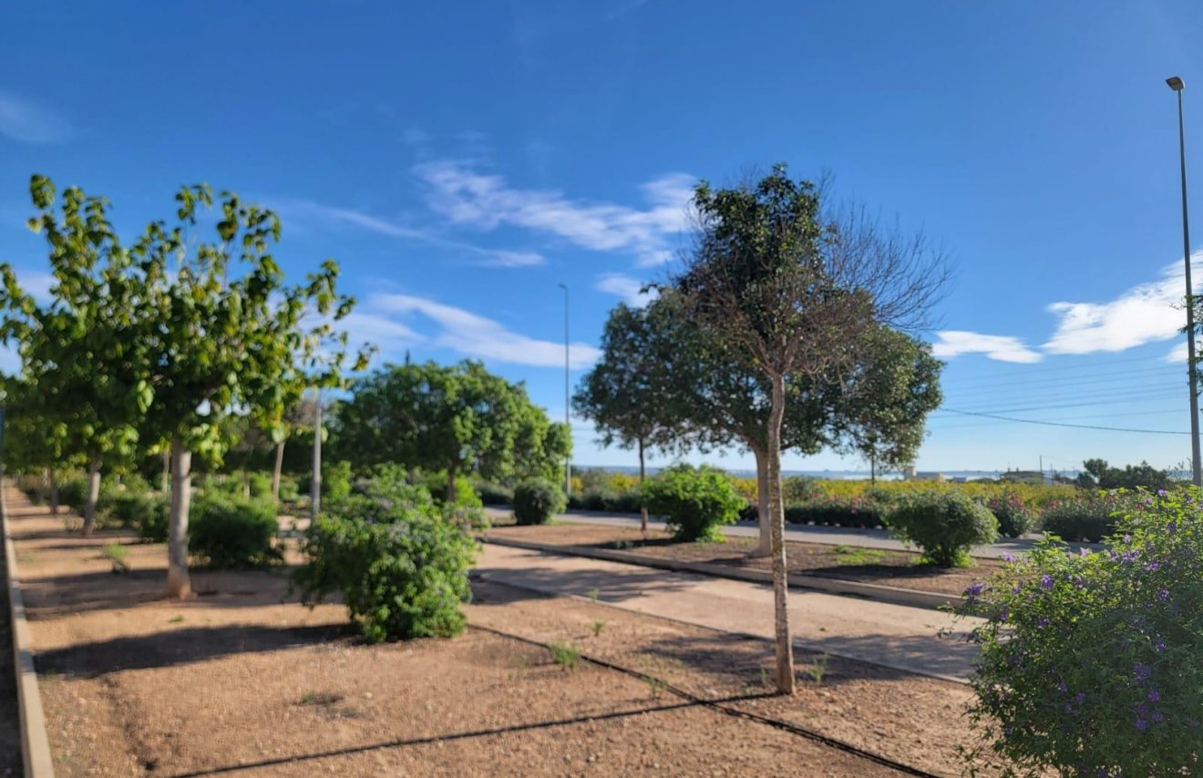 Reventa - Adosado - Los Montesinos - Los Montesinos - Urb. La Herrada