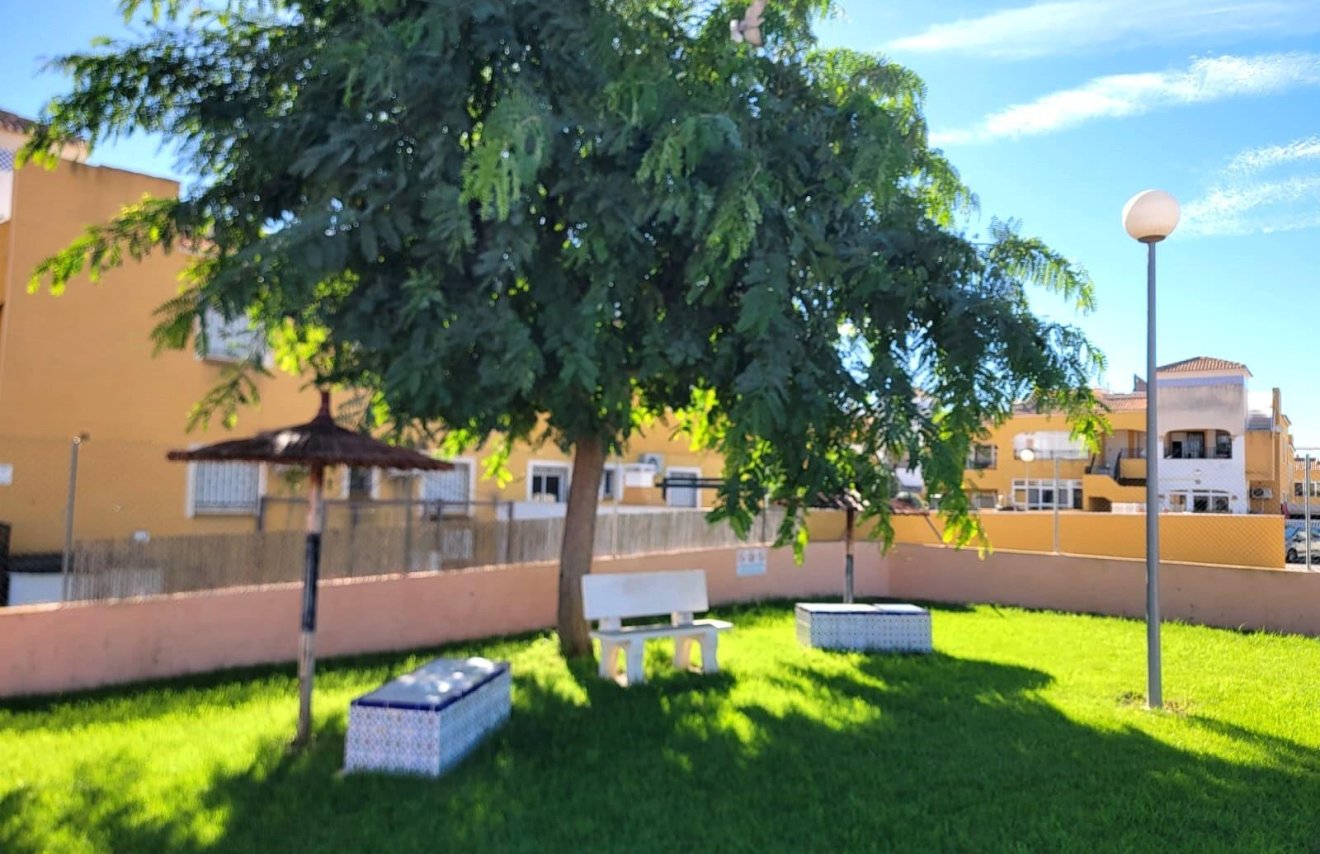 Reventa - Adosado - Los Montesinos - Los Montesinos - Urb. La Herrada