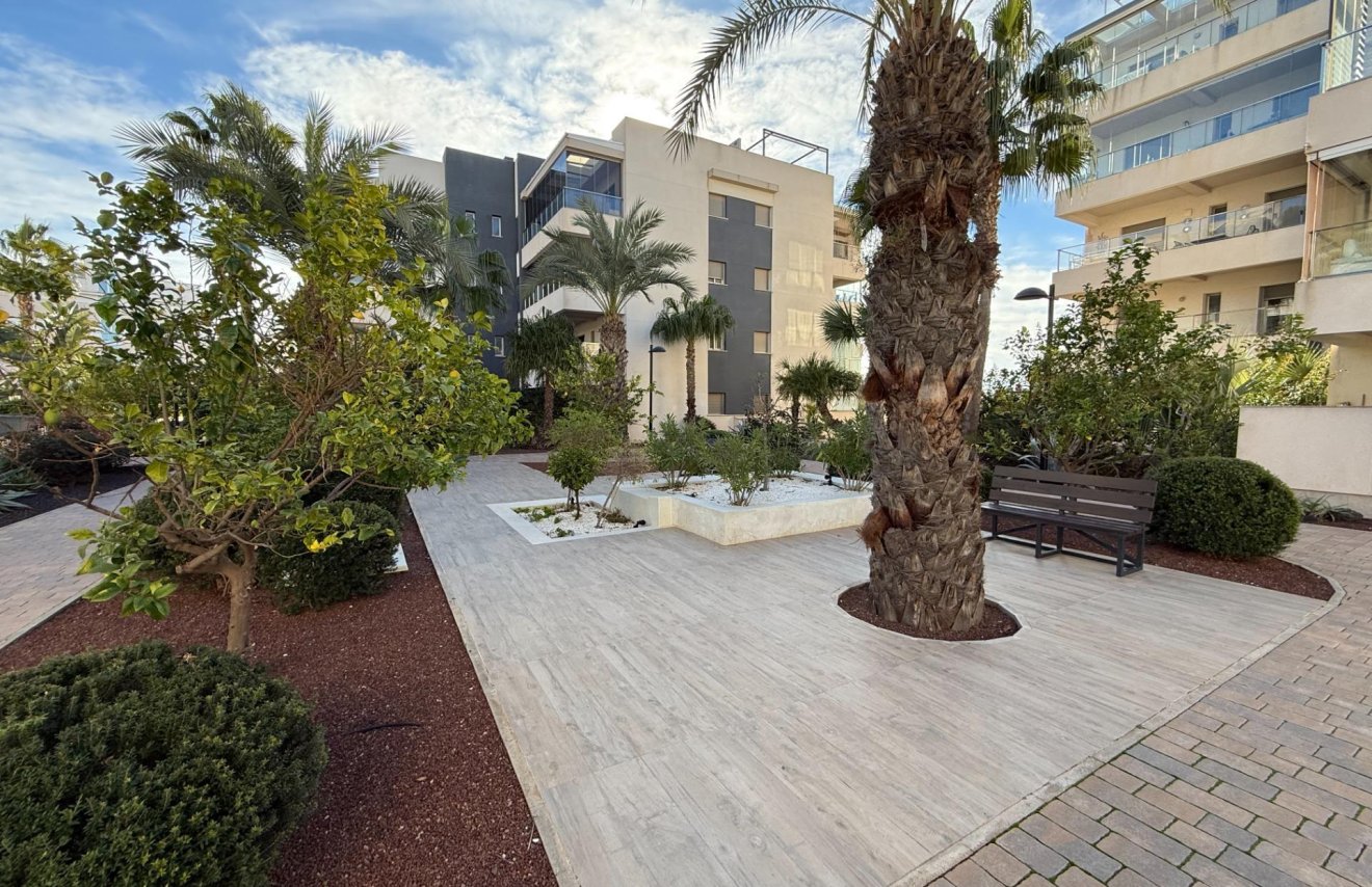 Resale - Apartamento - Orihuela Costa - Los Dolses