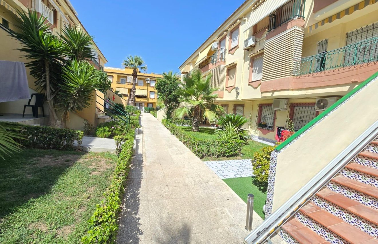 Reventa - Apartamento - Torrevieja - Eliseos playa