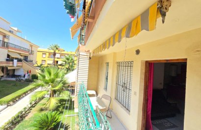 Reventa - Apartamento - Torrevieja - Eliseos playa