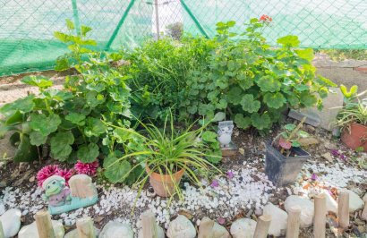 Reventa - Casa - Granja de Rocamora - GRANJA