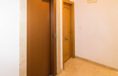 Alquiler a largo plazo - Apartamento - Torrevieja - Playa del Cura