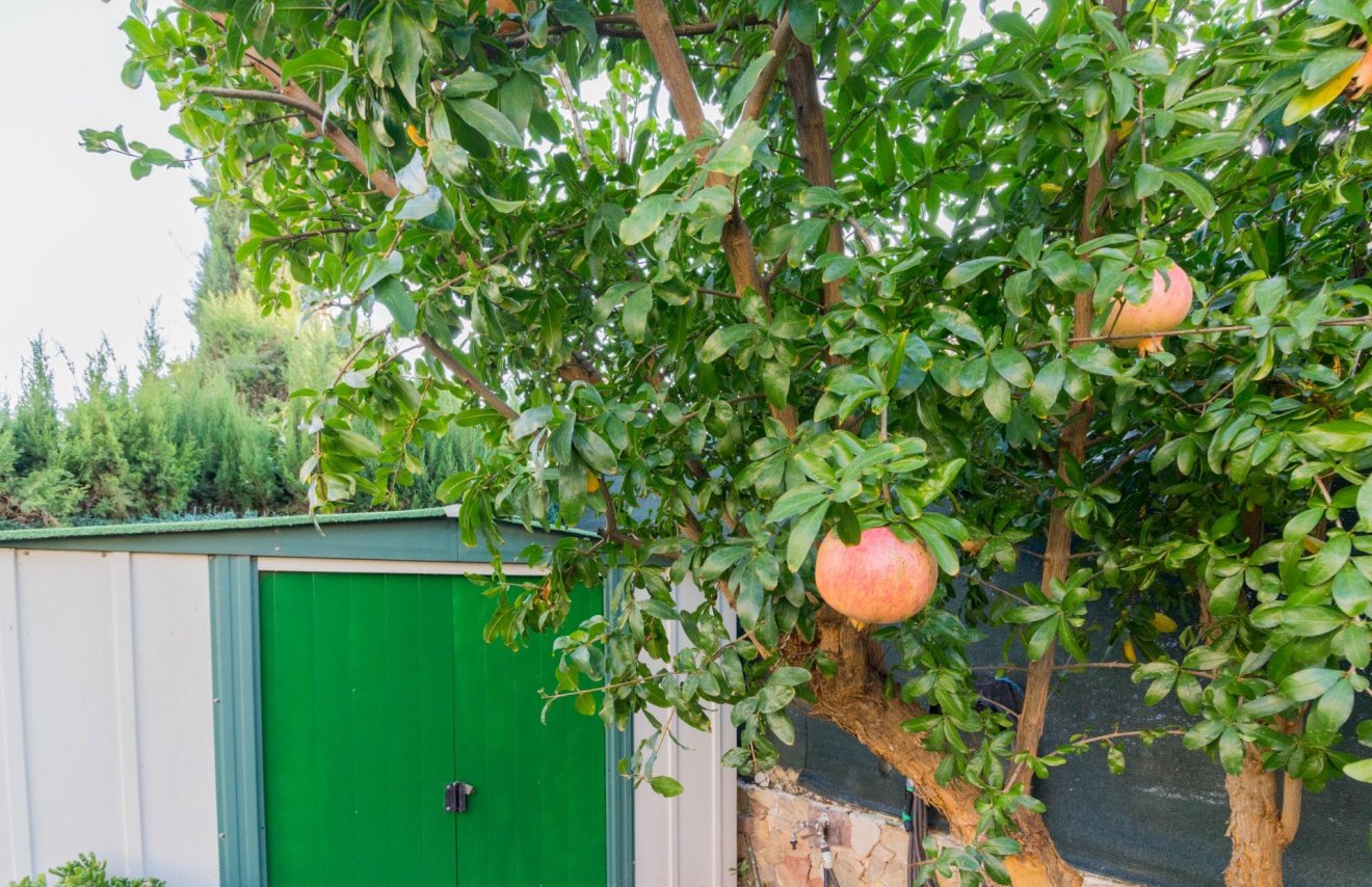 Revente - Chalet - Benferri - BENFIS-PARK