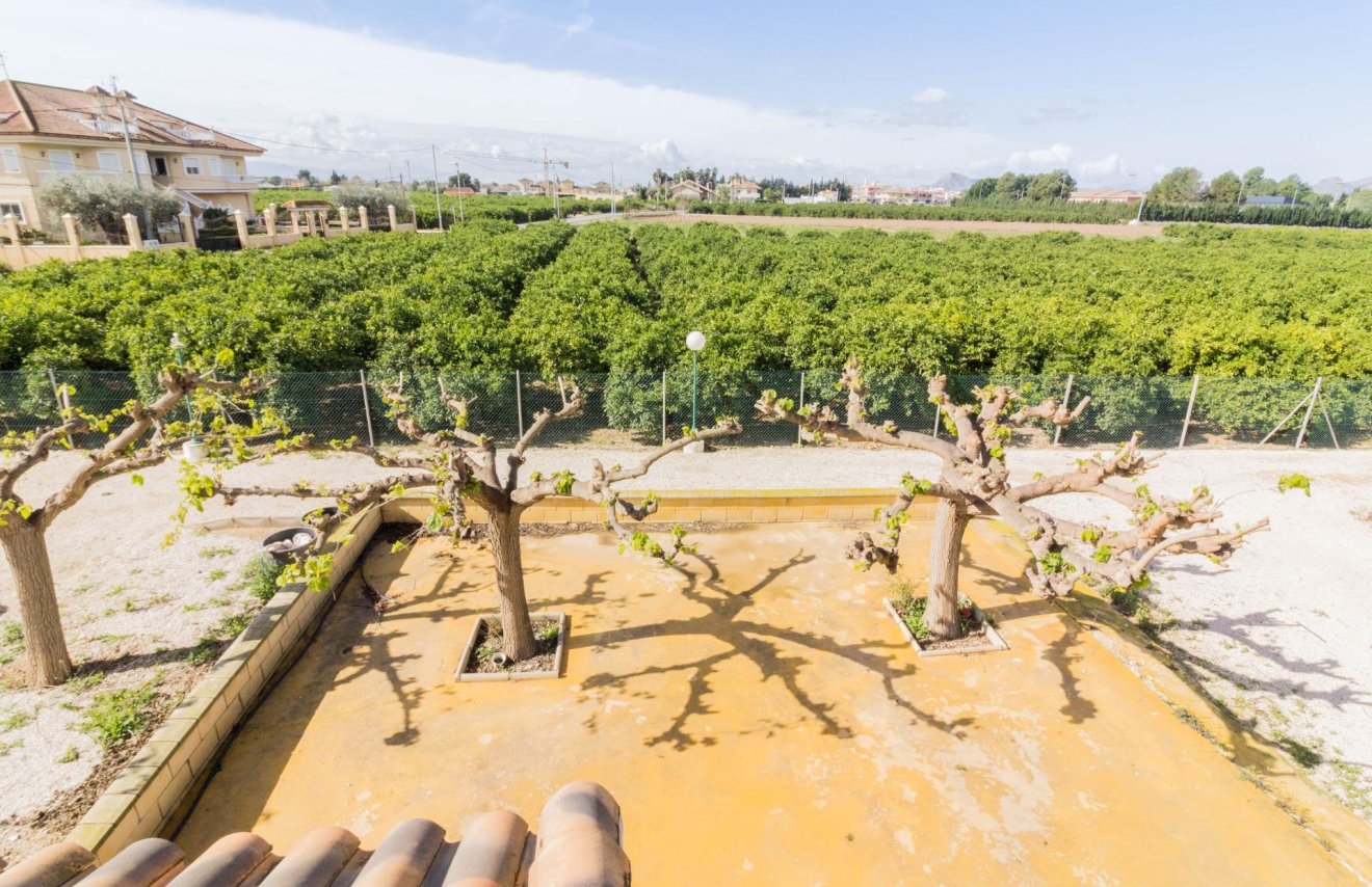 Reventa - Casa - Orihuela - Desamparados-Hurchillo-Torremendo