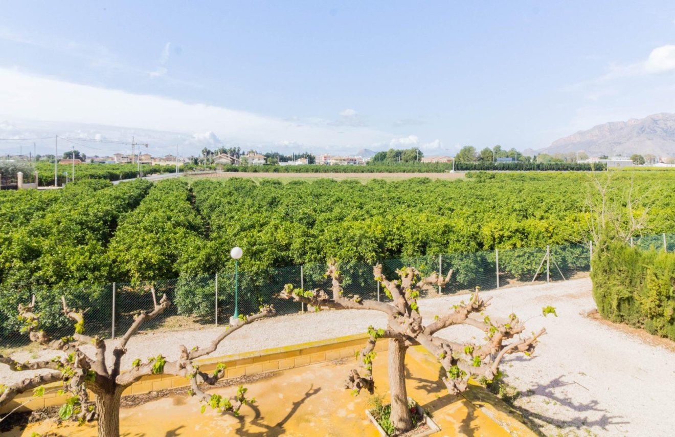 Reventa - Casa - Orihuela - Desamparados-Hurchillo-Torremendo