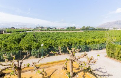 Reventa - Casa - Orihuela - Desamparados-Hurchillo-Torremendo