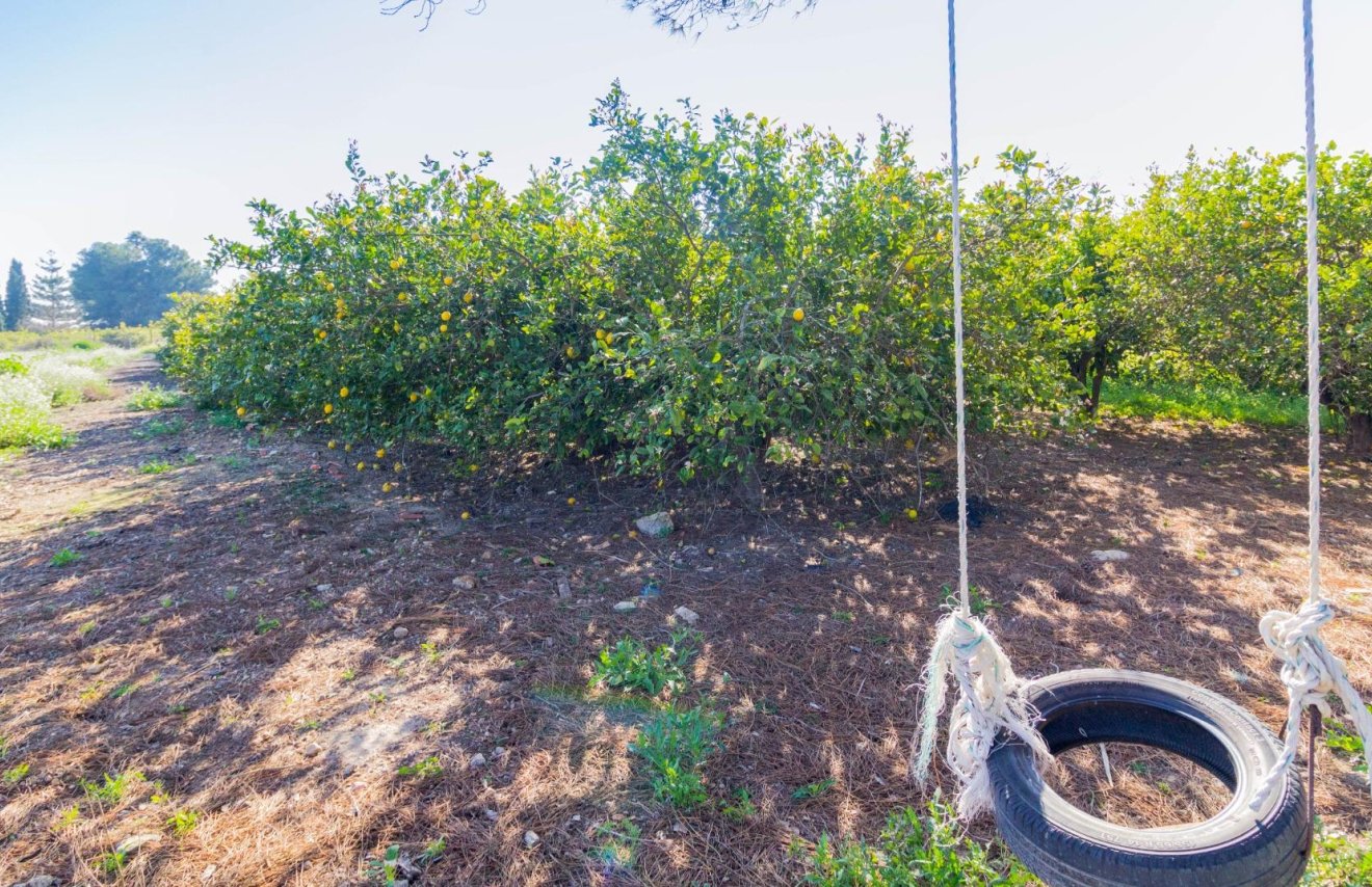 Resale - Terreno rural - Callosa de Segura - Comunidad valenciana