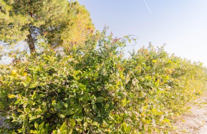 Resale - Terreno rural - Callosa de Segura - Comunidad valenciana