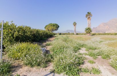 Resale - Terreno rural - Callosa de Segura - Comunidad valenciana