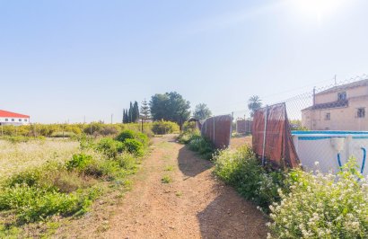 Resale - Terreno rural - Callosa de Segura - Comunidad valenciana
