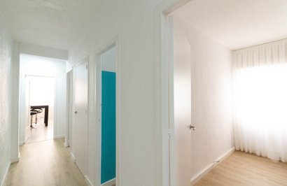 Alquiler a largo plazo - Piso - Orihuela - Zona Centro