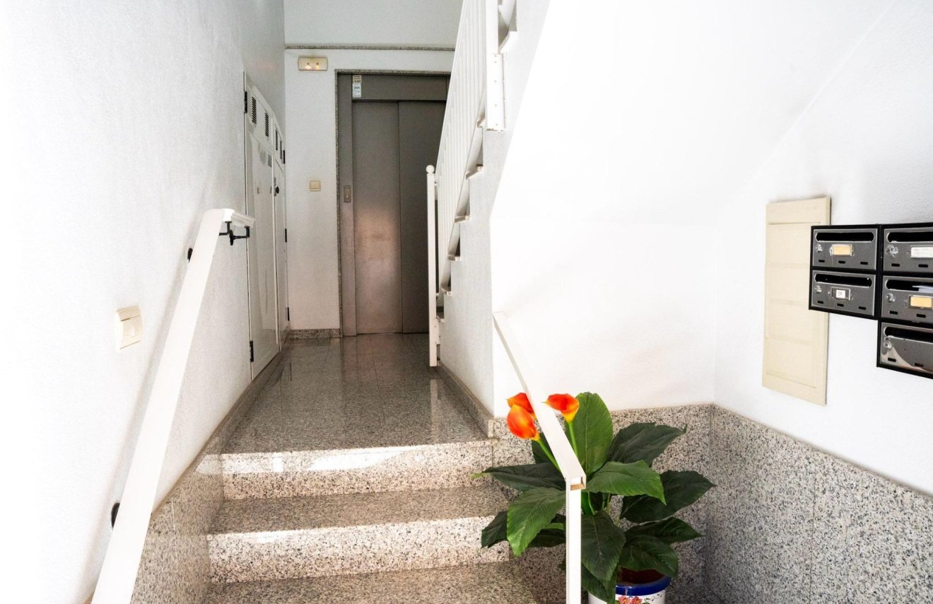 Reventa - Piso - Almoradí - Centro urbano 2
