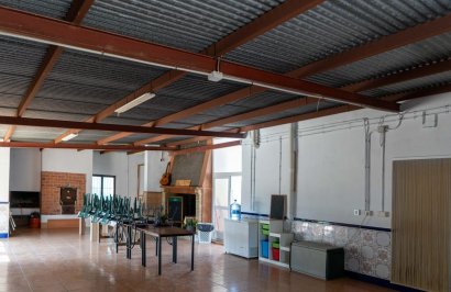 Reventa - Chalet - Orihuela - Montepinar-La Aparecida-Raiguero