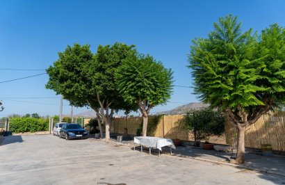 Reventa - Chalet - Orihuela - Montepinar-La Aparecida-Raiguero