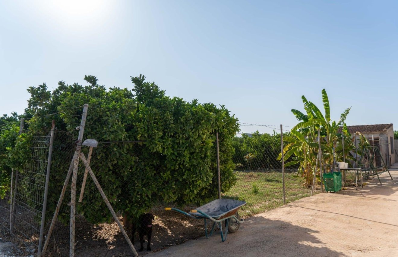 Reventa - Chalet - Orihuela - Montepinar-La Aparecida-Raiguero
